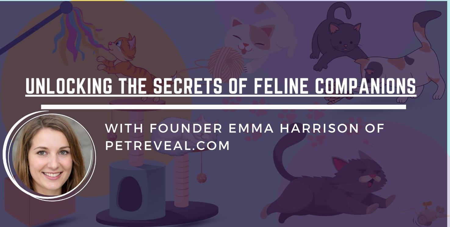 Unlocking The Secrets Of Feline Companions Pet Reveal Unlocking The Secrets Of Feline Companions Pet Reveal