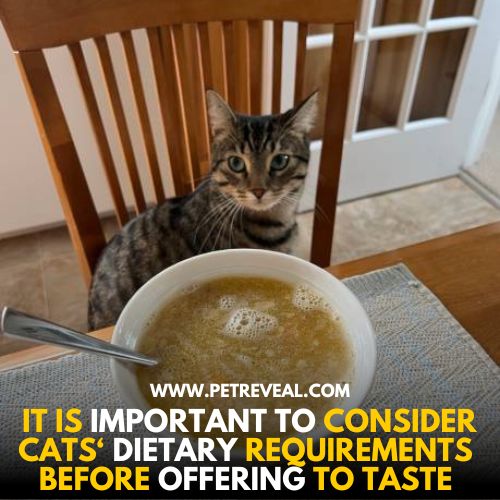 Cats need specific foods
