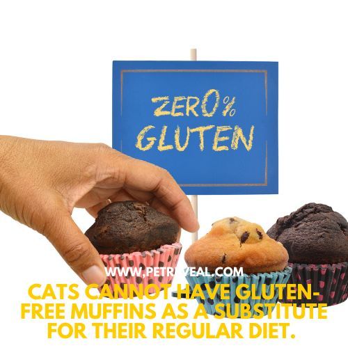 Can Cats have Gluten Free Muffins